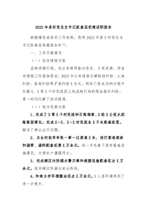 20XX年某村党总支书记抓基层党建述职报告