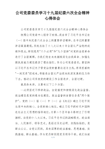 公司党委委员学习十九届纪委六次全会精神心得体会