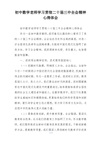 初中数学老师学习贯彻二十届三中全会精神心得体会