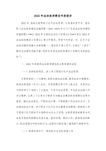 20XX年法治政府建设年度报告