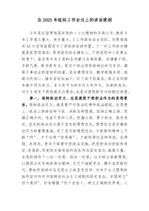在20XX年组织工作会议上的讲话提纲