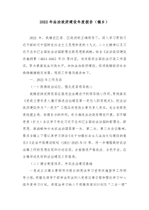 20XX年法治政府建设年度报告镇乡