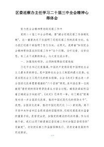 区委巡察办主任学习二十届三中全会精神心得体会