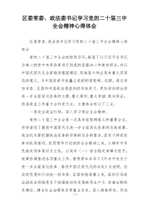 区委常委、政法委书记学习党的二十届三中全会精神心得体会