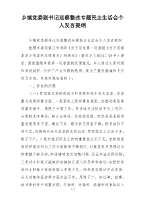 乡镇党委副书记巡察整改专题民主生活会个人发言提纲