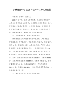 乡镇服务中心2025年上半年工作汇报发言