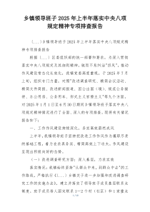 乡镇领导班子2025年上半年落实中央八项规定精神专项排查报告