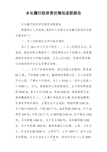 乡长履行经济责任情况述职报告