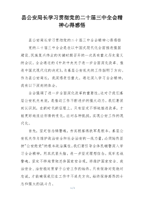 县公安局长学习贯彻党的二十届三中全会精神心得感悟