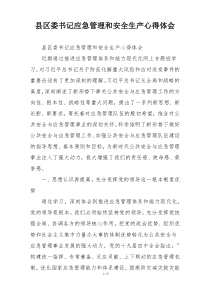县区委书记应急管理和安全生产心得体会