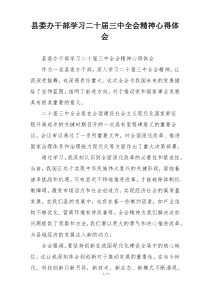 县委办干部学习二十届三中全会精神心得体会