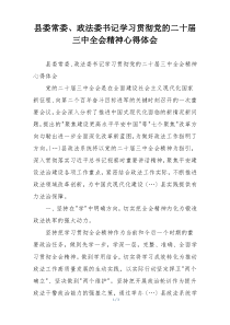 县委常委、政法委书记学习贯彻党的二十届三中全会精神心得体会