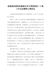 县委组织部常务副部长学习贯彻党的二十届三中全会精神心得体会