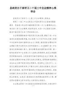 县政府办干部学习二十届三中全会精神心得体会