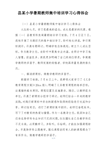县某小学暑期教师集中培训学习心得体会