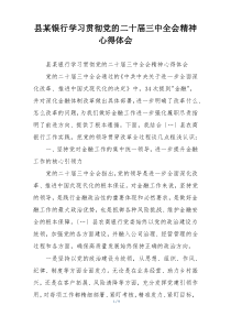 县某银行学习贯彻党的二十届三中全会精神心得体会
