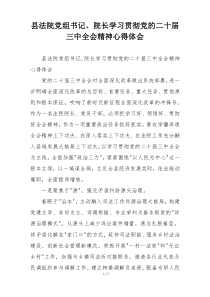 县法院党组书记、院长学习贯彻党的二十届三中全会精神心得体会