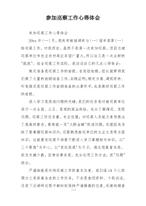 参加巡察工作心得体会