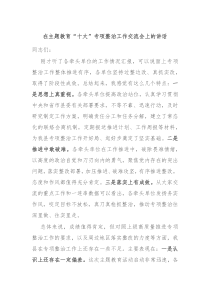 在主题教育十大专项整治工作交流会上的讲话
