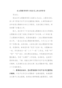 在主题教育领导小组会议上的主持讲话