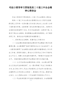 司法口领导学习贯彻党的二十届三中全会精神心得体会