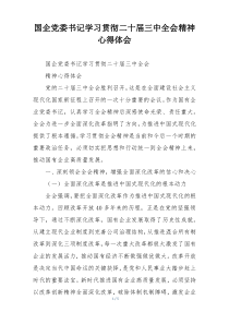 国企党委书记学习贯彻二十届三中全会精神心得体会