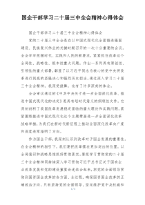 国企干部学习二十届三中全会精神心得体会