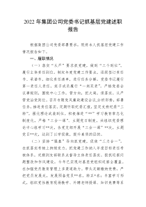 20XX年集团公司党委书记抓基层党建述职报告