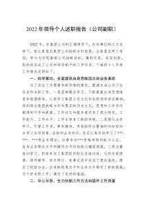 20XX年领导个人述职报告公司副职