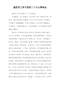 基层员工学习党的二十大心得体会