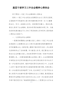 基层干部学习三中全会精神心得体会