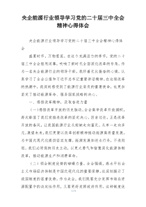 央企能源行业领导学习党的二十届三中全会精神心得体会