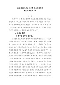 2篇20XX召开基层党组织组织生活会和开展民主评议党员情况自查报告