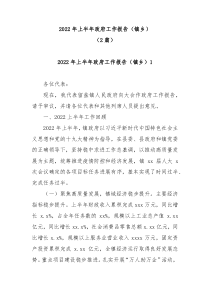 2篇20XX年上半年政府工作报告镇乡