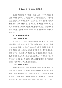 2篇20XX年集团公司关于国企改革三年行动总结专题报告