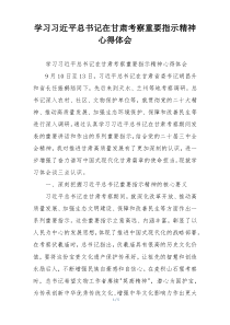 学习习近平总书记在甘肃考察重要指示精神心得体会