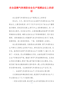 在全县燃气和消防安全生产视频会议上的讲话
