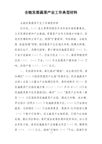全链发展蔬菜产业工作典型材料