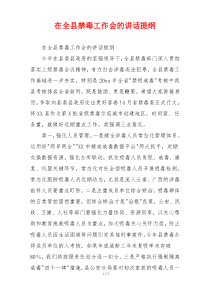 在全县禁毒工作会的讲话提纲