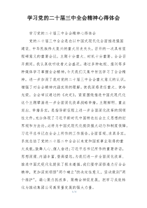 学习党的二十届三中全会精神心得体会