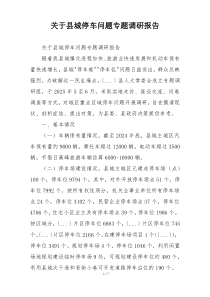 关于县城停车问题专题调研报告