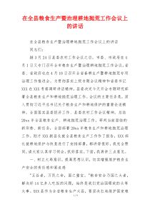 在全县粮食生产暨治理耕地抛荒工作会议上的讲话