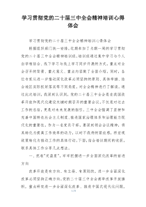 学习贯彻党的二十届三中全会精神培训心得体会