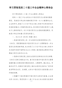 学习贯彻党的二十届三中全会精神心得体会