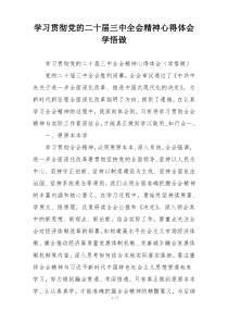 学习贯彻党的二十届三中全会精神心得体会学悟做