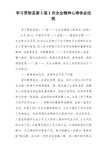 学习贯彻县委X届X次全会精神心得体会法院