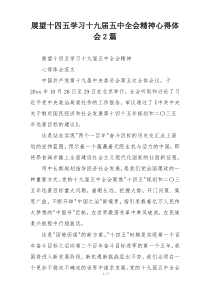 展望十四五学习十九届五中全会精神心得体会2篇
