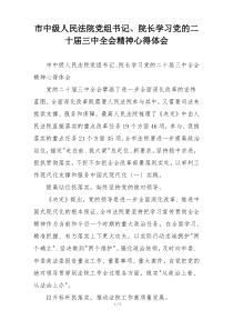 市中级人民法院党组书记、院长学习党的二十届三中全会精神心得体会