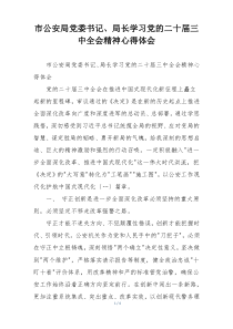 市公安局党委书记、局长学习党的二十届三中全会精神心得体会