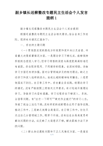 副乡镇长巡察整改专题民主生活会个人发言提纲1